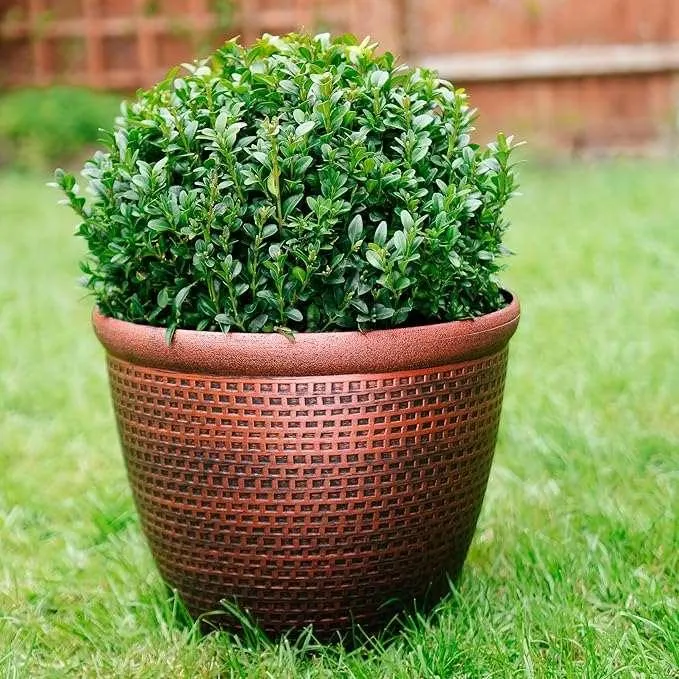 SG Traders ™ Cromarty Plant Pot 30, 36, 40m (pack of 2)